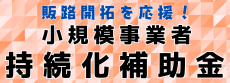 持続化補助金